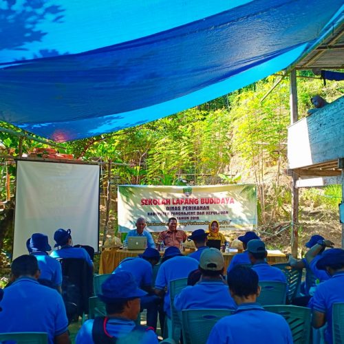 Kegiatan Sekolah Lapang Budidaya Perikanan