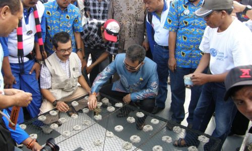 Dr. Ir. Andi Tamsil, M.Si Memberi Penjelasan kepada Gubernur Tentang Pentingnya Penyelamatan Lingkungan Laut melalui Transplantasi Karang