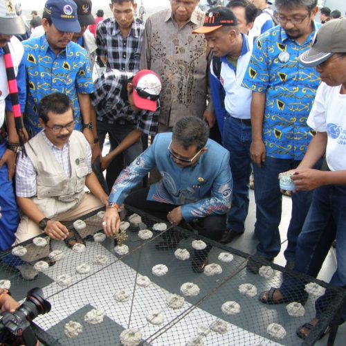 Dr. Ir. Andi Tamsil, M.Si Memberi Penjelasan kepada Gubernur Tentang Pentingnya Penyelamatan Lingkungan Laut melalui Transplantasi Karang